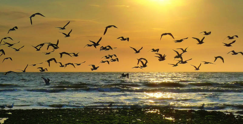 Zonsondergang Strand Callantsoog Sonnenuntergang